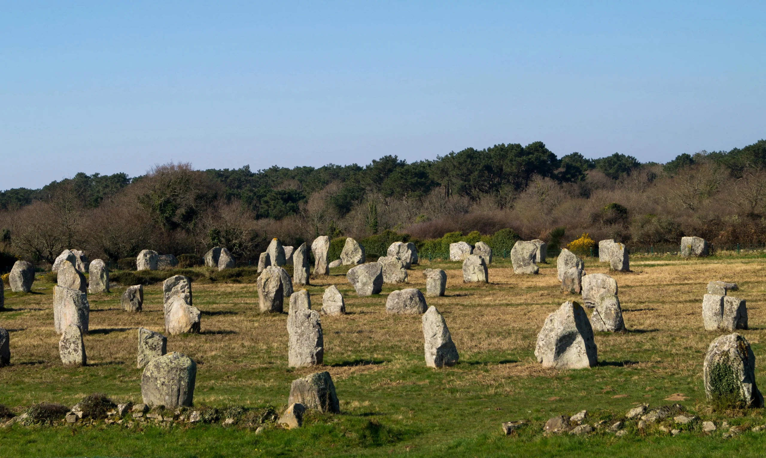 Carnac, alignements de menhirs — découverte mégalithique avec chauffeur privé MJ Prestige